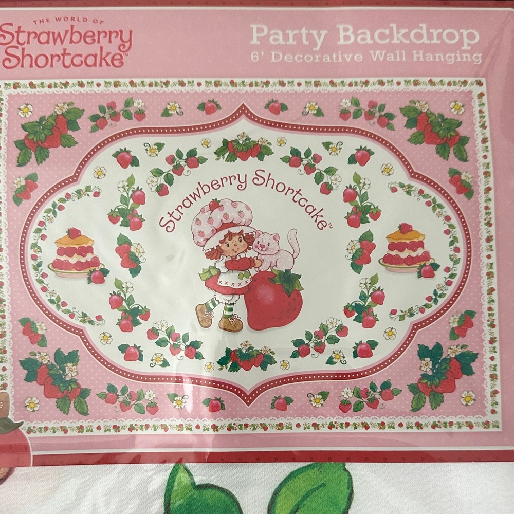Party Backdrop - Picture 3 of 3